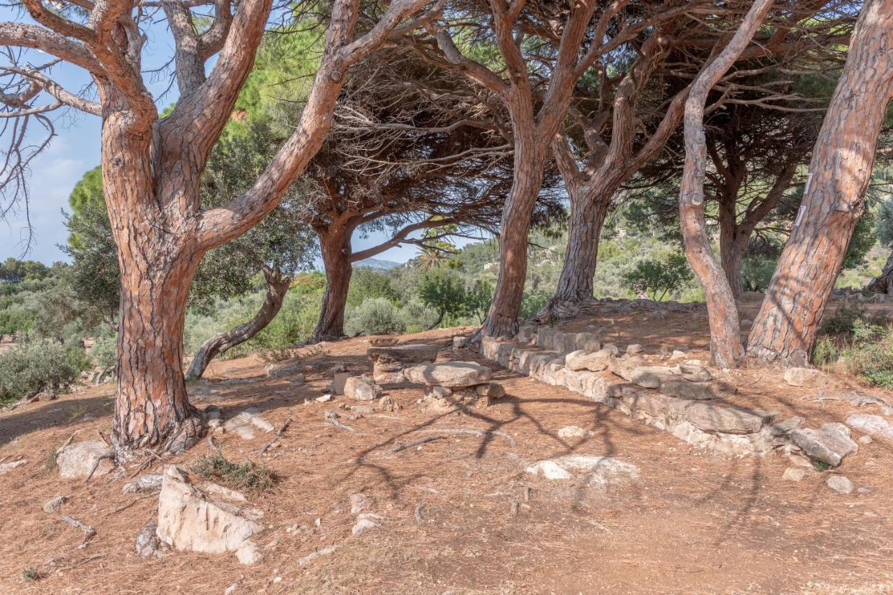 Deia Semi-Detached Sunny Country House, Near Gr221 المظهر الخارجي الصورة