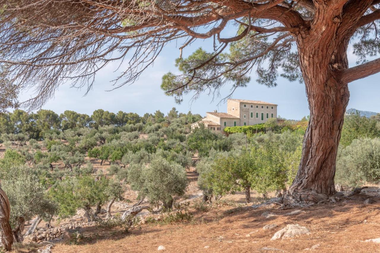 Deia Semi-Detached Sunny Country House, Near Gr221 المظهر الخارجي الصورة